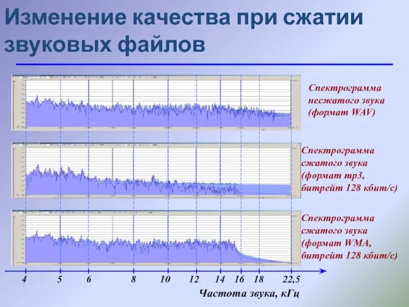 Форматы кодирования звука. Сжатие звука с потерями. форматы и компрессия звуковых файлов. компрессия аудиосигнала. сжатие сигнала.