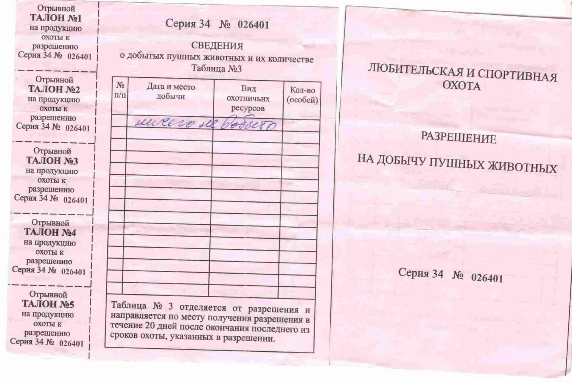 Сдать разрешение на добычу. Как правильно заполнить охотничью путевку для сдачи. Как правильно заполнить путевку на охоту. Заполнение путевки на охоту при сдаче. Лицензия на добычу охотничьих ресурсов.