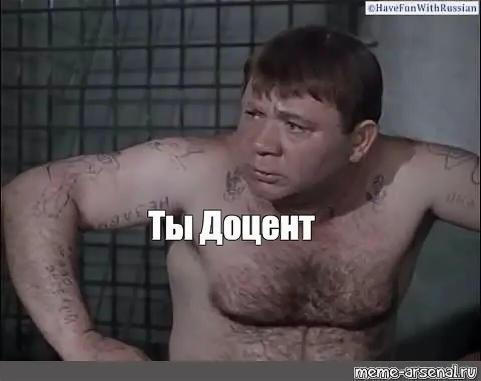 Доцент приколы. Евгений леонов моргалы. Приколы из джентльменов удачи. Ученые должности. Доцент джентльмены удачи мемы.