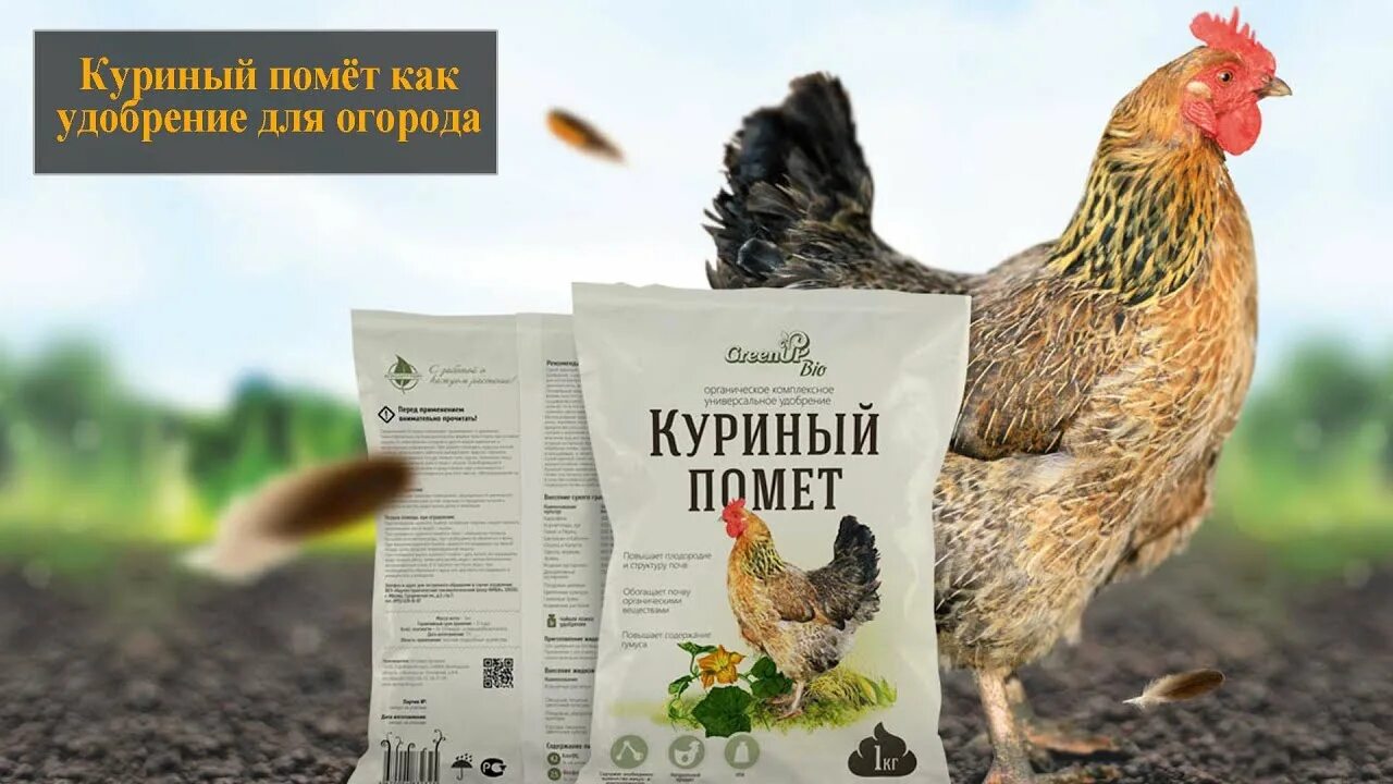 Куриный помет. Куриный помёт. Птичий помет. Куриный навоз.