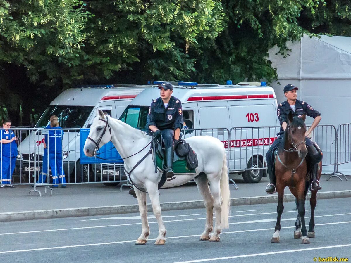 Конная работа. Конная полиция в москве. конная полиция рф. конная милиция москва.