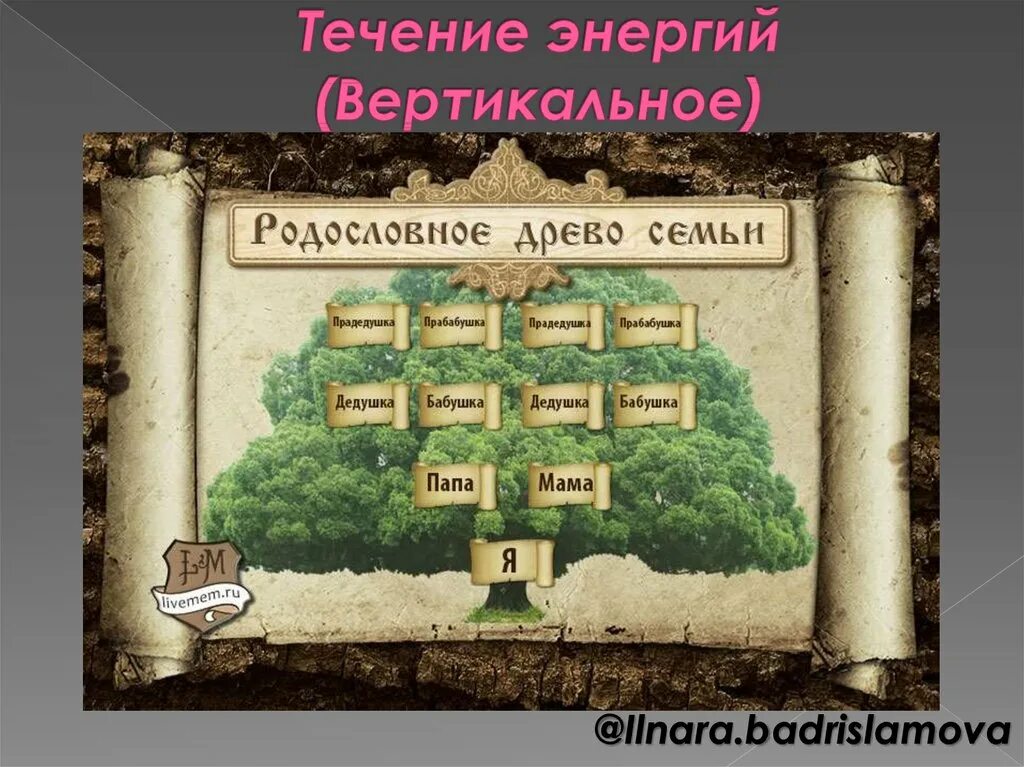 Родословное Древо. Родословная семьи. Геологическое дерево. Составление генеалогического дерева. Древо заговорщик