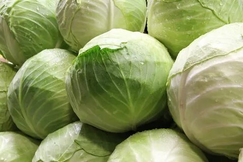 Сорт капусты до весны