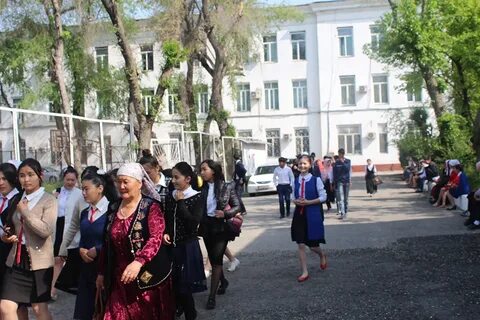 Авн жагу тестирование