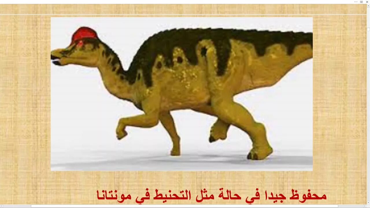 Corythosaurus casuarius. Динозавр с хохлом на голове. Динозавр с рогом на затылке. Паразауролоф (parasaurolophus). Динозавр с хохолком на голове.