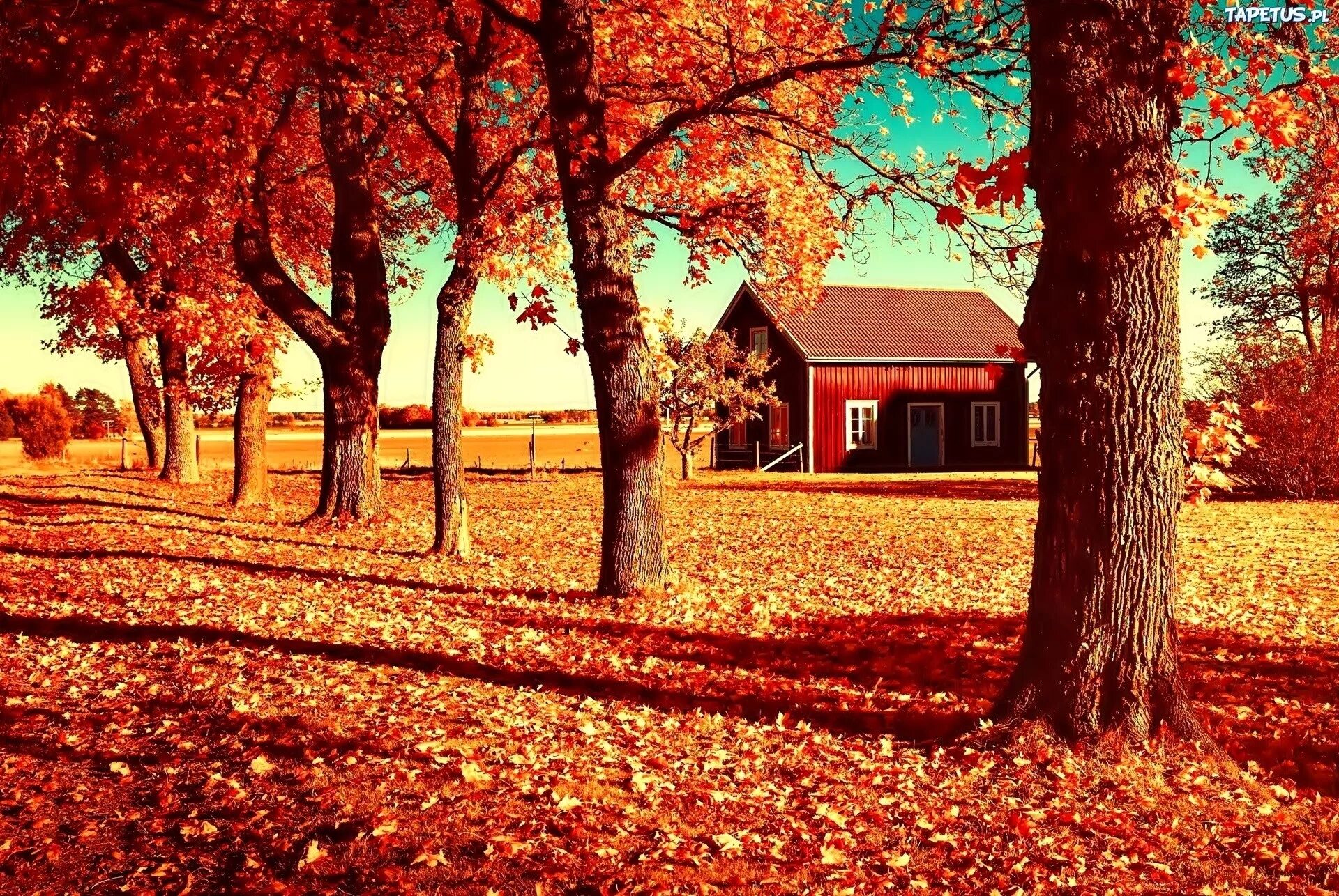 Autumn starts