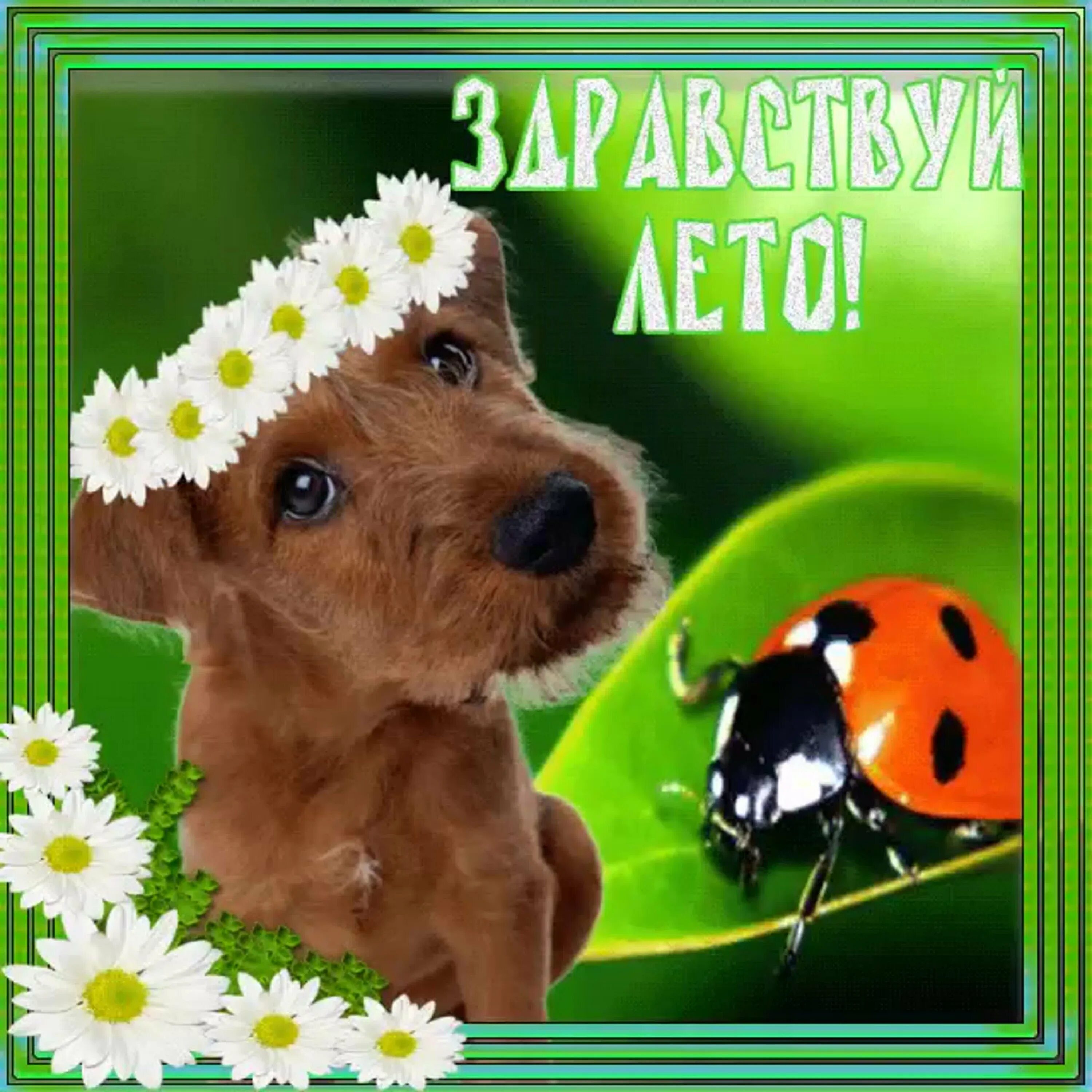 Ура лето картинки красивые. Здравствуй лето. с первым днем лета. поздравление с началом лета. открытки с первым днем лета.