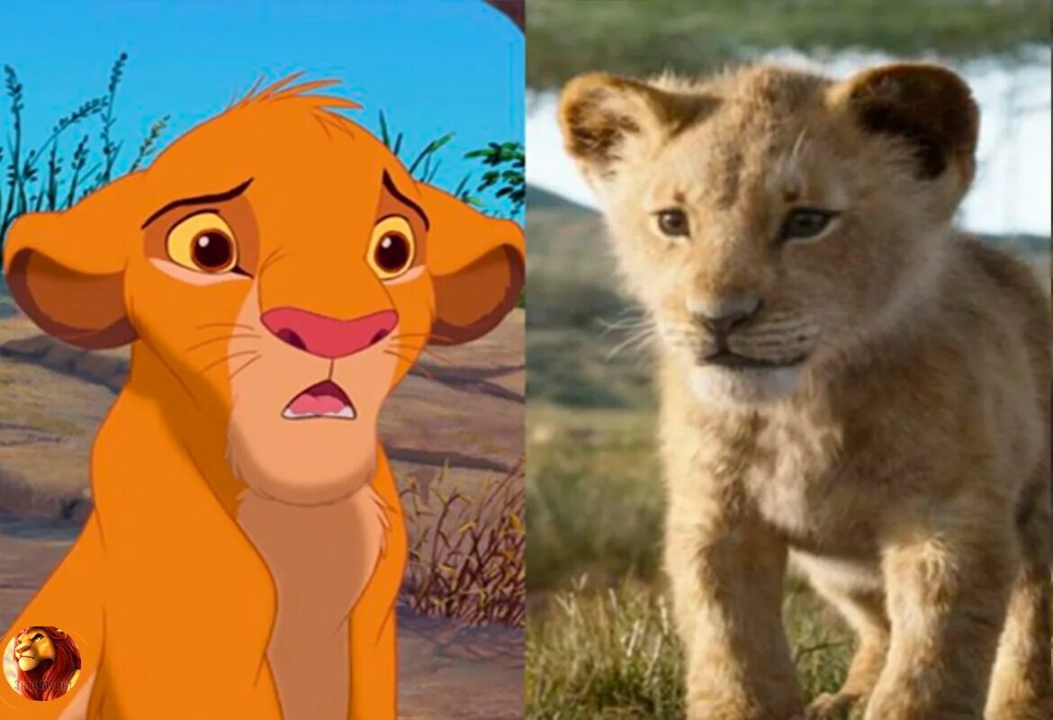 Почему симба младший. Король Лев Симба молодой 1994. Король Лев новый. The Lion King 2019 Simba. Симба в реальной жизни.