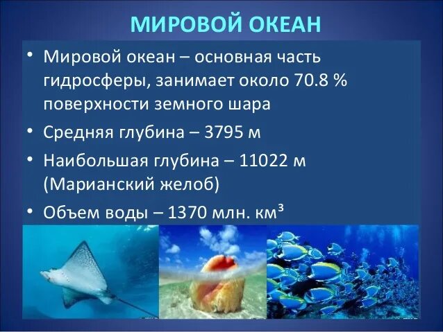 Мировой океан проект. Мировой океан основная часть гидросферы. Изучено 5% мирового океана. Насколько изучен мировой океан.