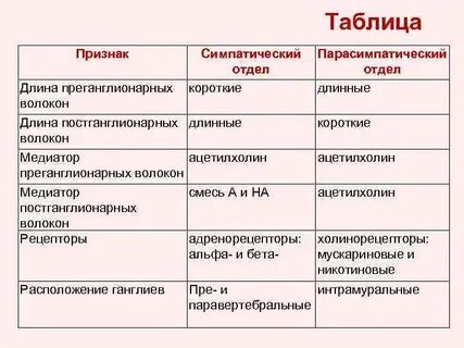Медиаторы преганглионарных волокон симпатической нервной системы