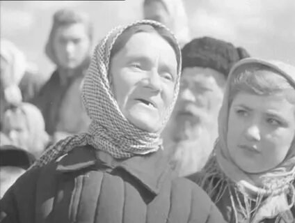 Родные поля новости последние