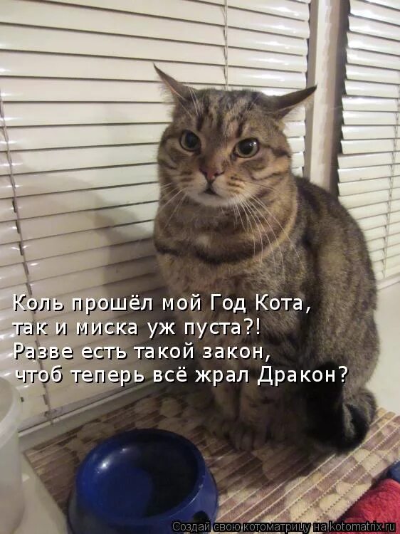 И ему не остается ничего