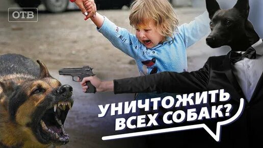 Отстрел собак закон. Жестокое обращение с животными. Объявление о закрытии мусоропровода. Отстрел собак из пневматики. Отстрел бродячих животных.