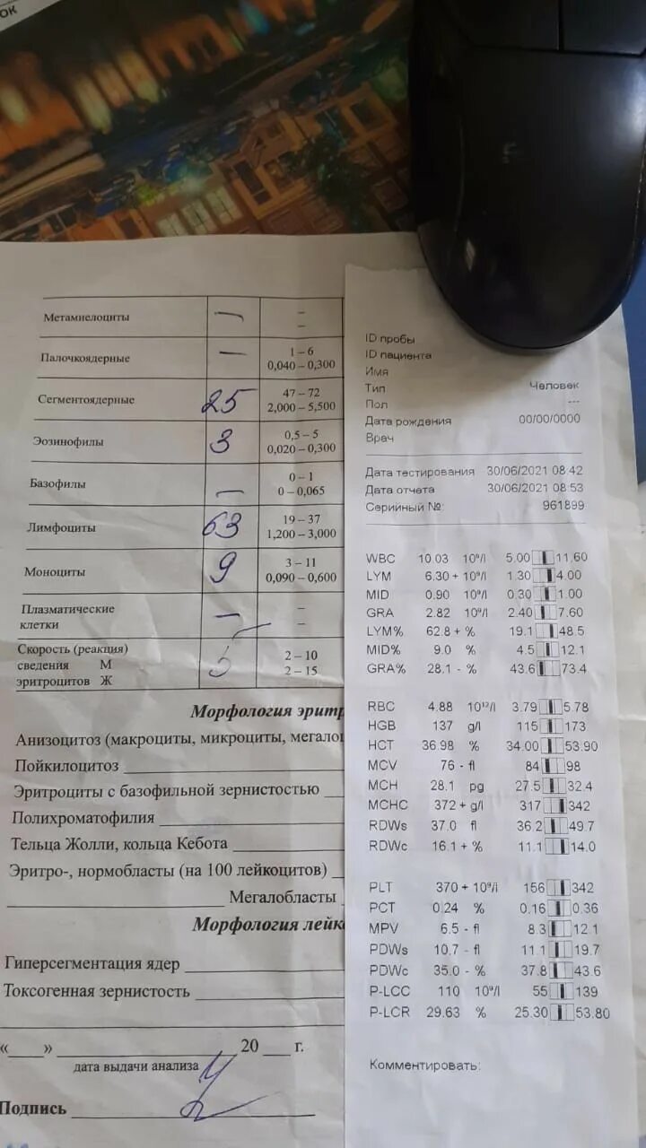 Сегментоядерные повышены у ребенка причины. Сегментоядерные повышены у ребенка причины