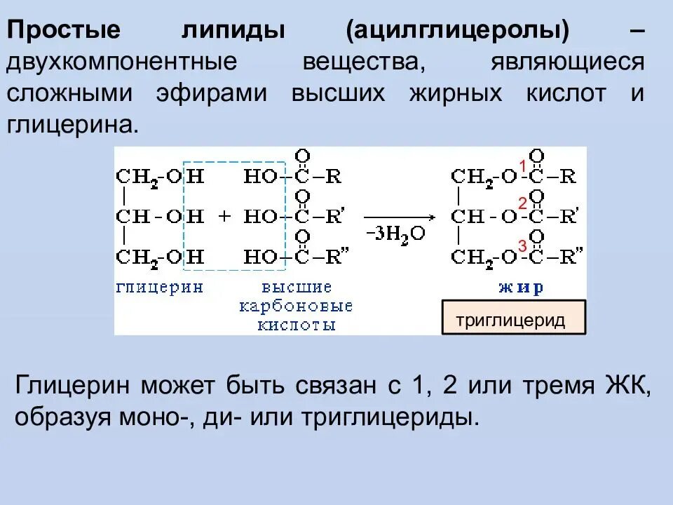 Глицерин является мономером