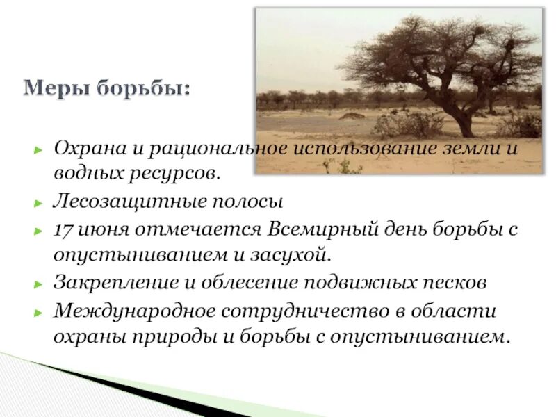 Пути решения опустынивания земель. Мероприятия по борьбе с засухой. Способы повышения продуктивности агроценозов. Лесополосы в борьбе с засухой. Значение лесополос в борьбе с засухой.