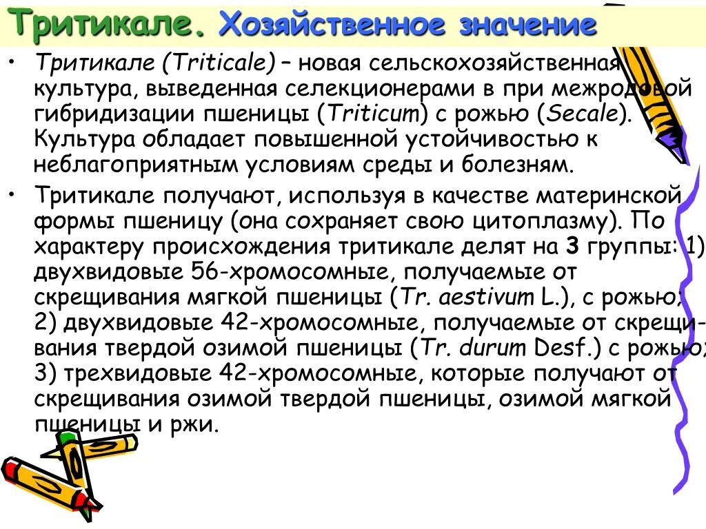 Озим значение. Тритикале значение. народнохозяйственное значение пшеницы. хозяйственное использование озимой тритикале. озимая пшеница хозяйственное значение.