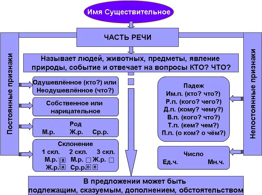 Имя существительное. Всё об именем существительным. Все о имени существительном. Имя существительное 3 класс. Конспект 3.3