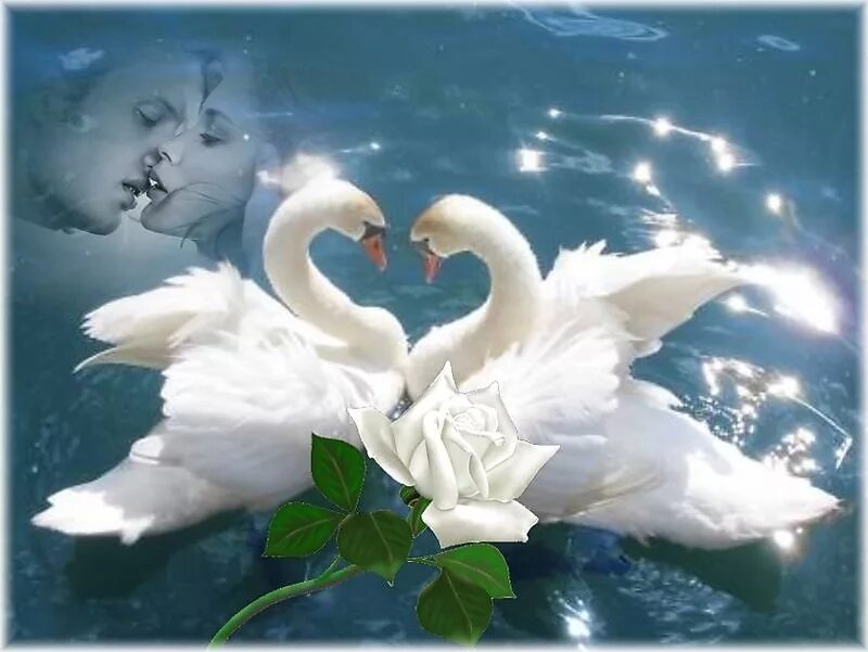 открытки мы будем вместе. любовь и счастье всегда вместе. взаимная любовь это счастье. любовь и счастье всегда вместе. солнце любовь.