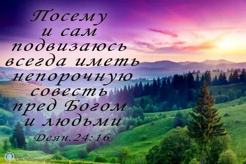 Благородною 9