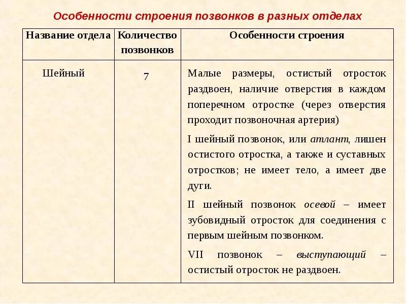 Сходства и различия разных отделов позвоночника. Отличительные особенности позвонков таблица. таблица отделы особенности строения позвонков. строение позвоночника таблица особенности строения. особенности строения шейных позвонков таблица.