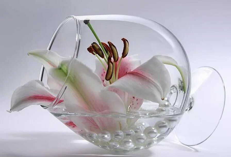 Счастья полна чаша. Цветы в бокале. Цветы в воде в вазе. Стеклянные цветы. Композиция в бокале.