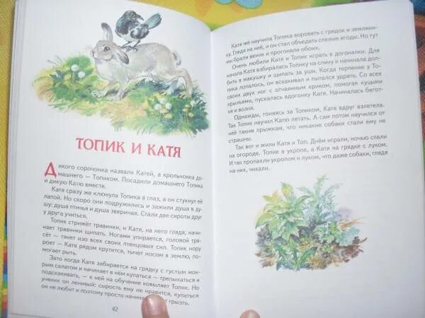 Н И Сладков топик и Катя. Топик и Катя Сладков читать. Н,И.Сладкова топик и Катя. Рассказ топик