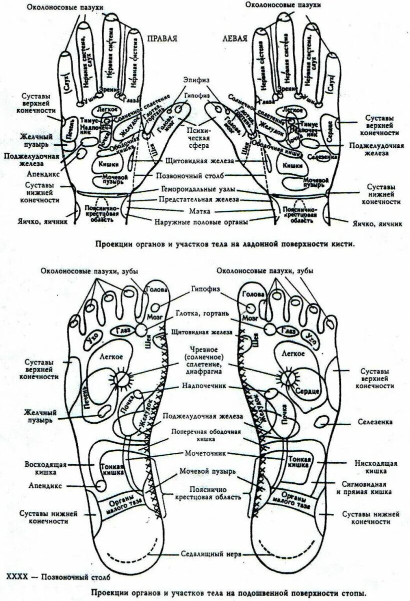 Точки акупунктуры на стопе человека атлас. Акупунктура проекция органов. Точки на подошве стопы отвечающие за органы. Акупунктурные точки стопы схема расположения. Точки на подошве ног