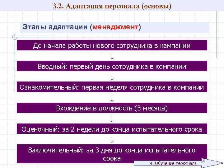 Адаптация включение в. Этапы адаптации персонала. Стадии адаптации сотрудника в организации. Этапы адаптации нового сотрудника. Стадии адаптации персонала.