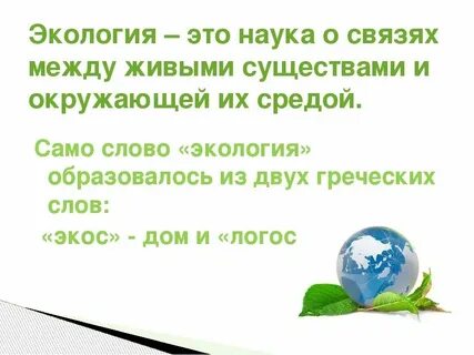 Сообщение об экологии 3 класс окружающий мир