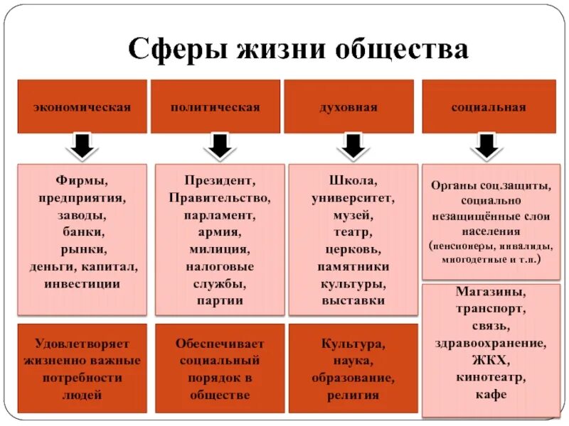 Парламент судебная система какая сфера общества