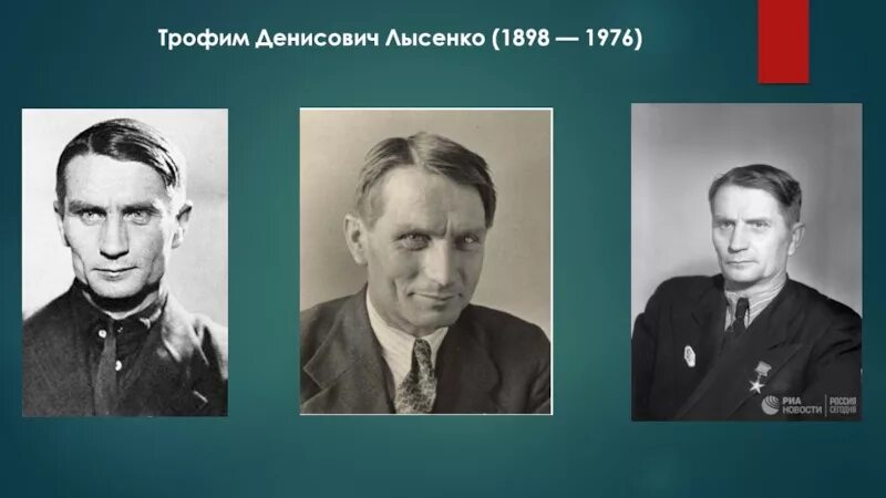 Достижения лысенко. Достижения лысенко
