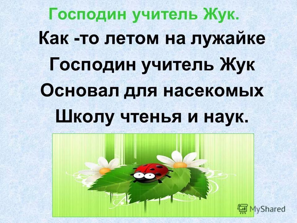 как то летом на лужайке господин учитель. как то летом на лужайке. господин учитель жук 1 класс. как то летом на лужайке. стихотворение про ромашку.
