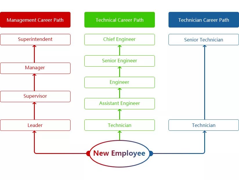 Career Path. Career Path of Management. Career Paths information Technology. Data Engineer career Path.