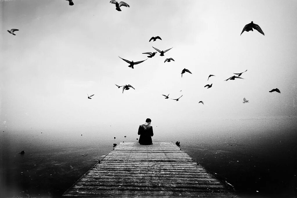 Белые птицы печали. Птица грусть. Белые птицы печали. Ветер. Белые птицы печали.