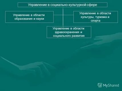 Органы осуществляющие управление в социально культурной сфере