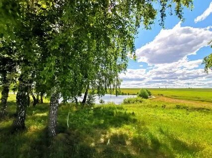 Пейзажи природы презентация