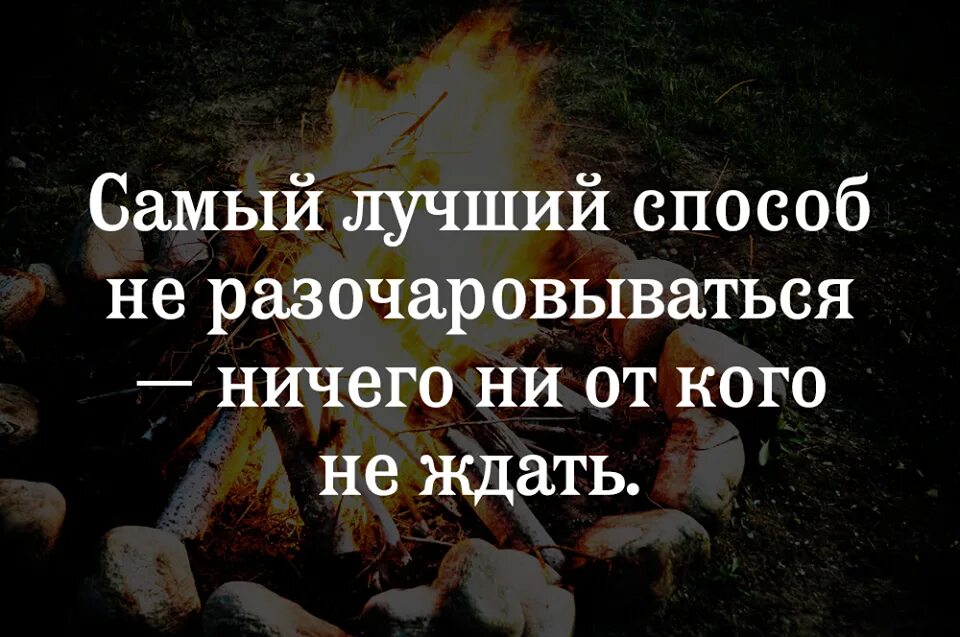 Цитата не жди ничего
