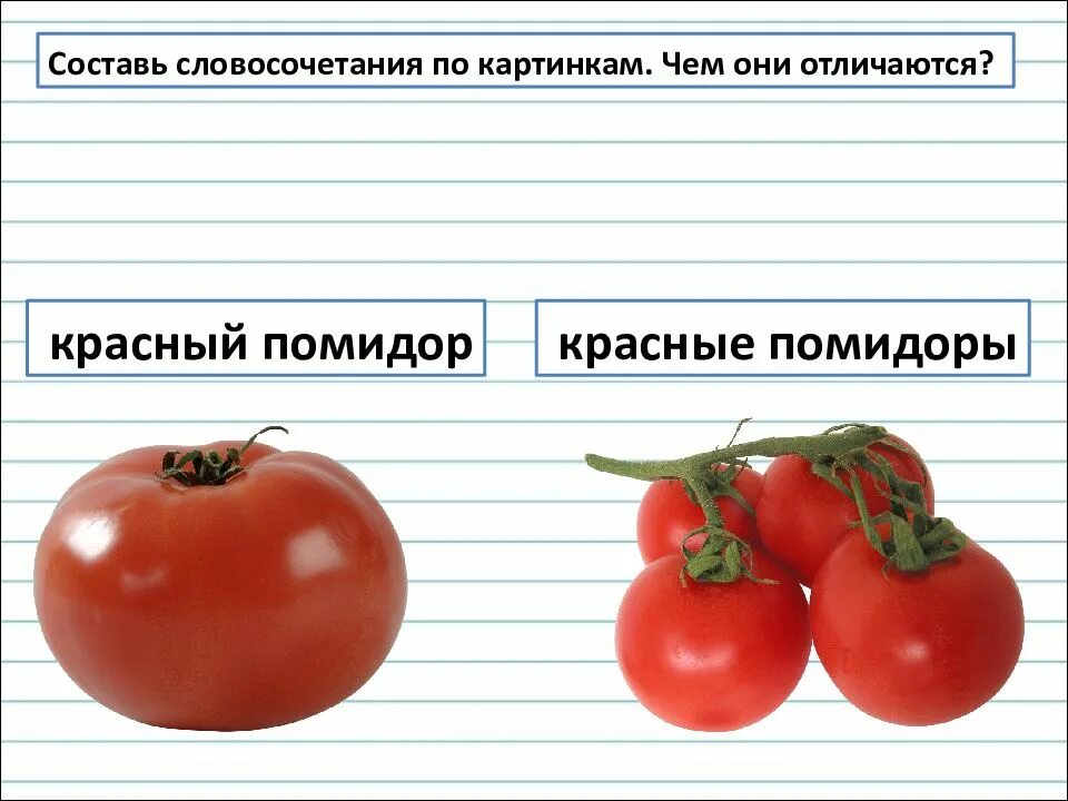 Соленья в единственном числе как будет. Единственное и множественное число имен прилагательных. понимание единственного и множественного числа прилагательных. помидоры в единственном числе. помидор множественное число.