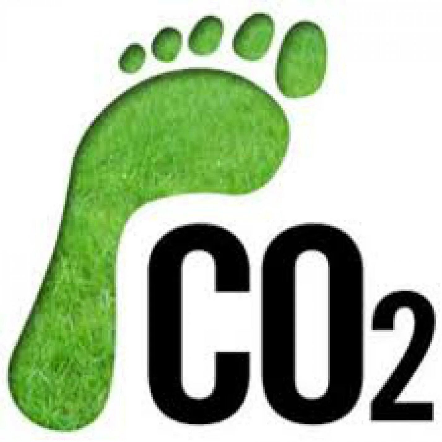 Your carbon footprint. Снижение углеродного следа. carbon footprint. углеродный след. reduced carbon footprint.
