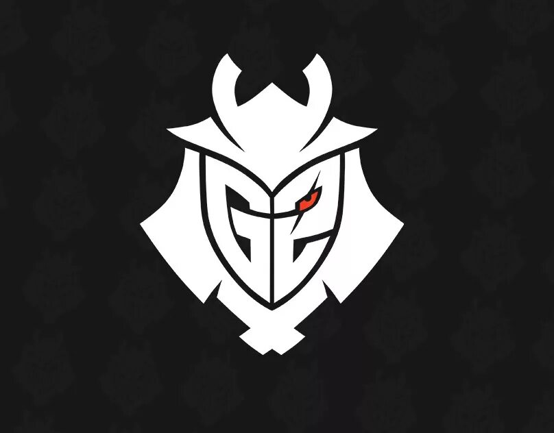 Av g. G2 Esports. G2 CS go logo. Ава g2 Esports. G2 Esports команда.