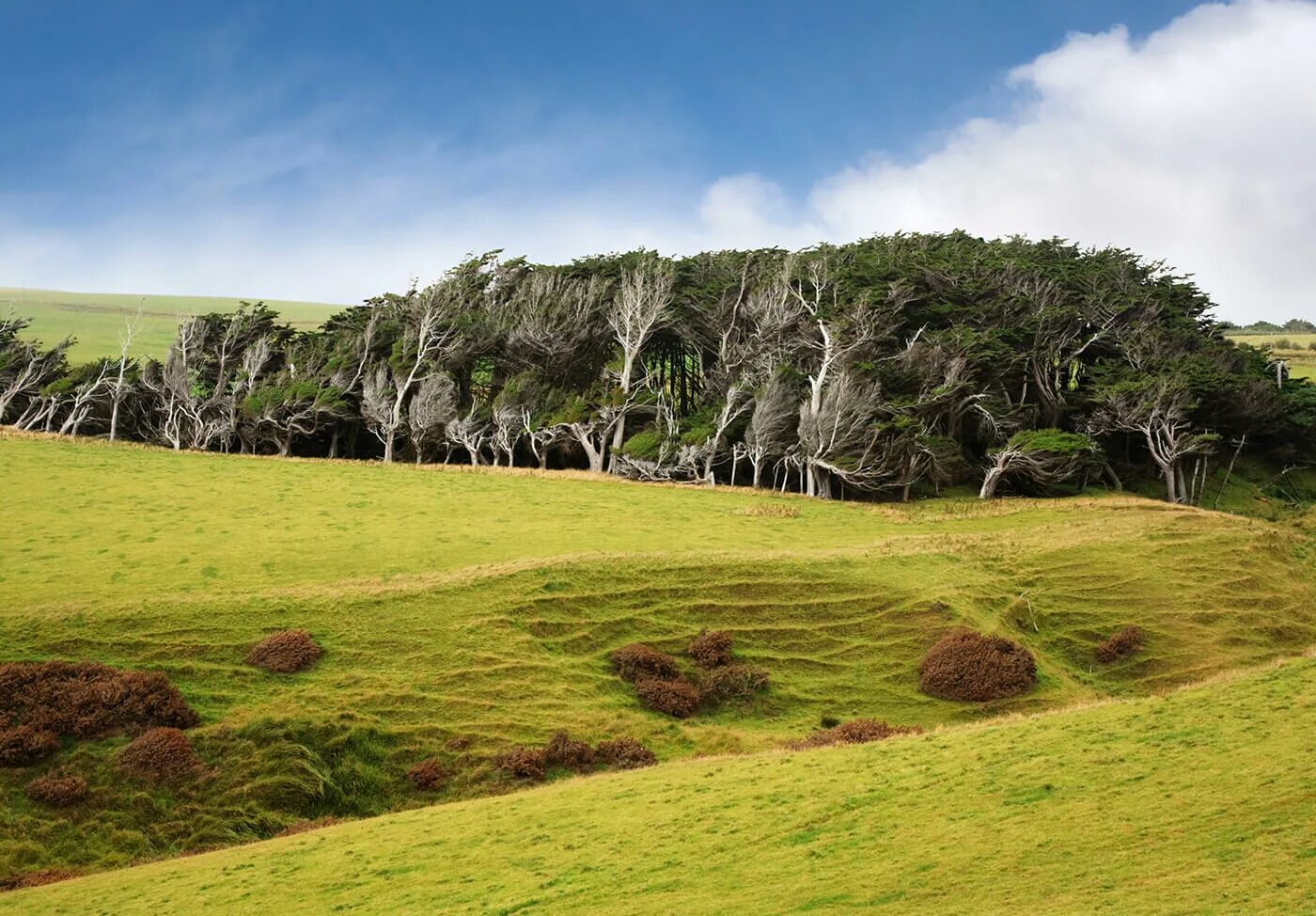 Land make. Land make. Сша штат монтана национальный лес лоло. Pump track чертежи. Памп трек размеры.