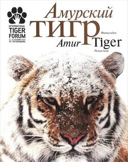 Книга амурский