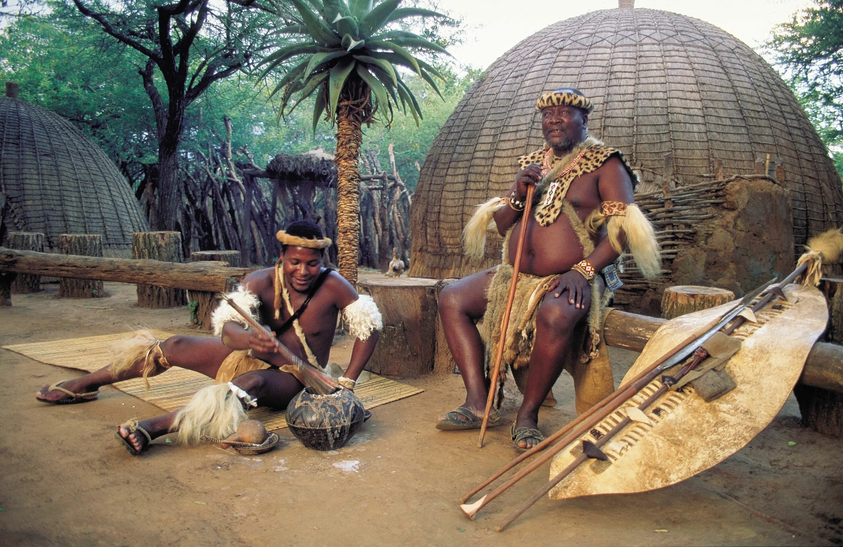 Zulu tribe. Племя Зулу в Африке. ЮАР Зулусы. Племя зулусов в Африке. Африкан Зулу Африка племя.