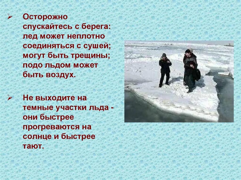 Вода подо льдом. Рыбы зимой презентация для дошкольников. Подо льдом как пишется вместе или. Как образуется лед для детей. Доклад жизнь подо льдом.