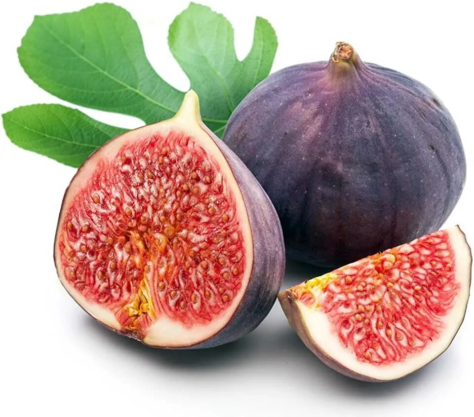 Fig update
