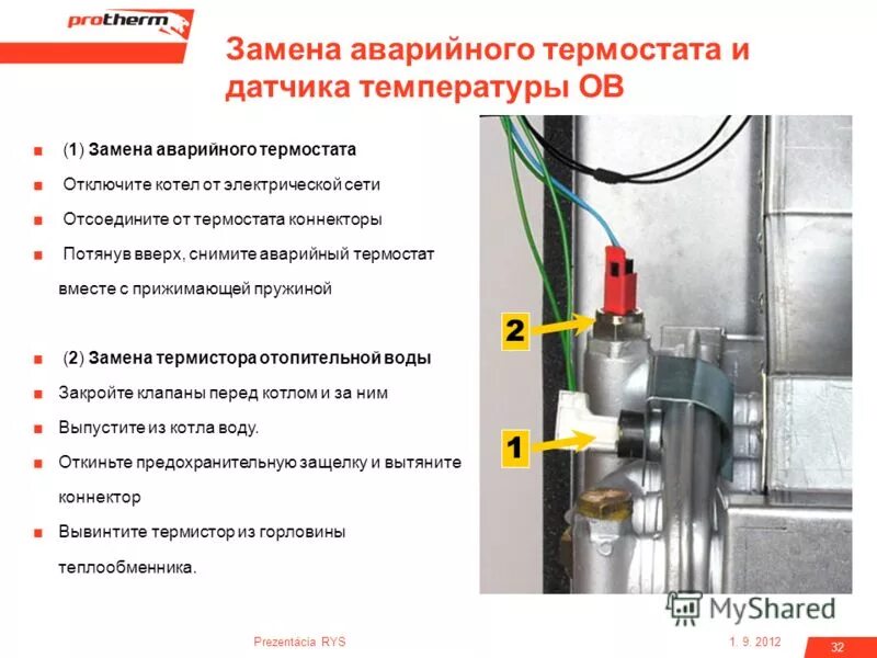 Газовый котел отключили воду. Датчик Протерм аварийного отключения. Настенный котел Protherm датчик давления. Датчик аварийного отключения электрического котла. Газовый котел Protherm температурный датчик.