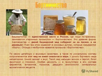 Состав присутствие
