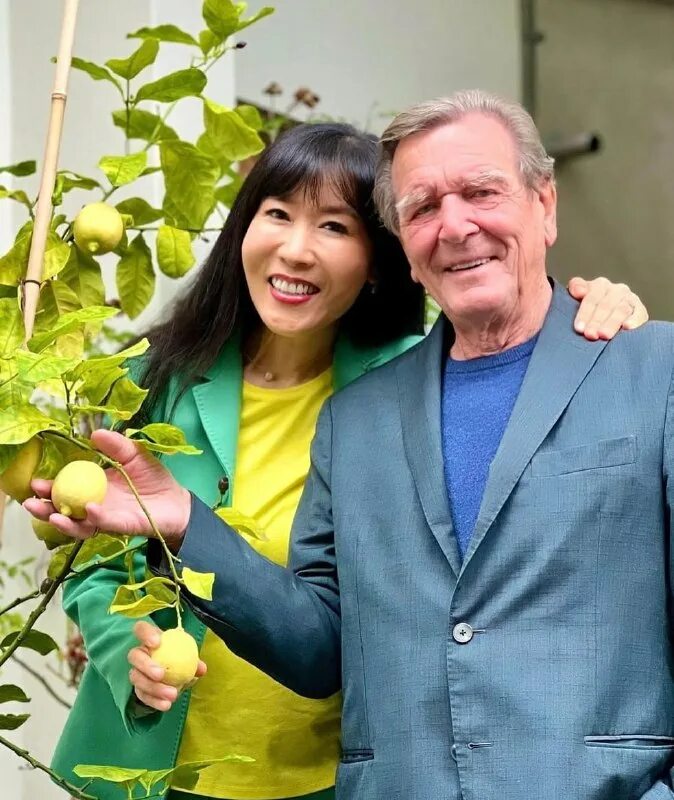 гипс желтый лимонный корея. восемь лимонов фото. смарт свеча lemon. лимон с солью. восемь лимонов.