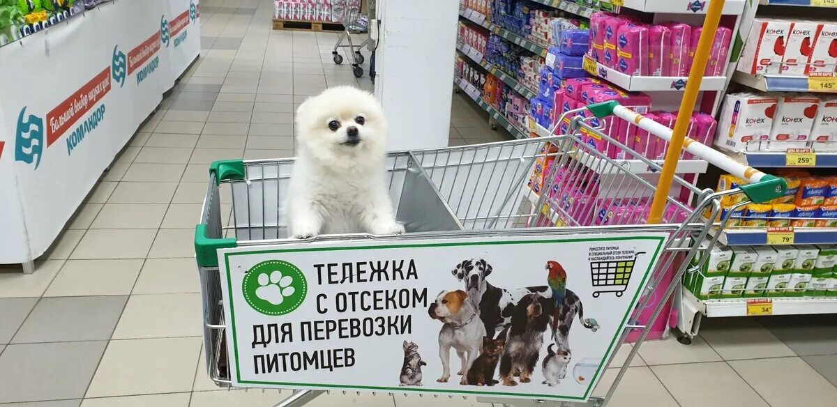pet stores Cheaper Than Retail Price Buy Clothing, Accessories and lifestyle pro
